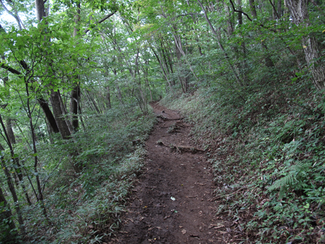 20150929hike (202)